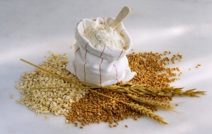equipo_para_panaderÃa_glut
