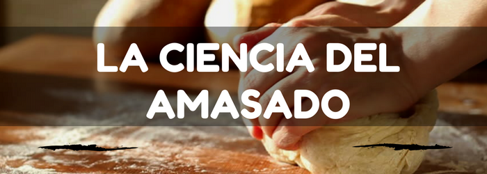 amasadoras-para-pan-ciencia.png