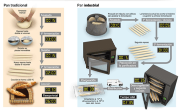 procesos-pan-industrial-pan-artesanal.png