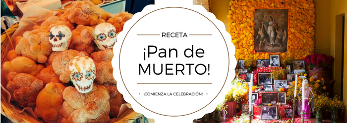 Te gustaría hacer Pan de Muerto? ¡Sigue esta receta!